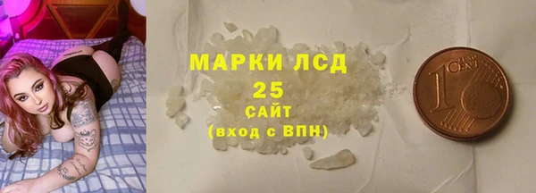 прущие грибы Алзамай