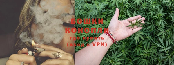 прущие грибы Алзамай