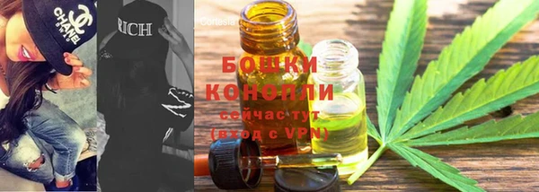 прущие грибы Алзамай