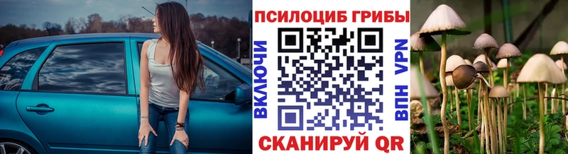 где продают наркотики  Глазов  Галлюциногенные грибы Psilocybe 