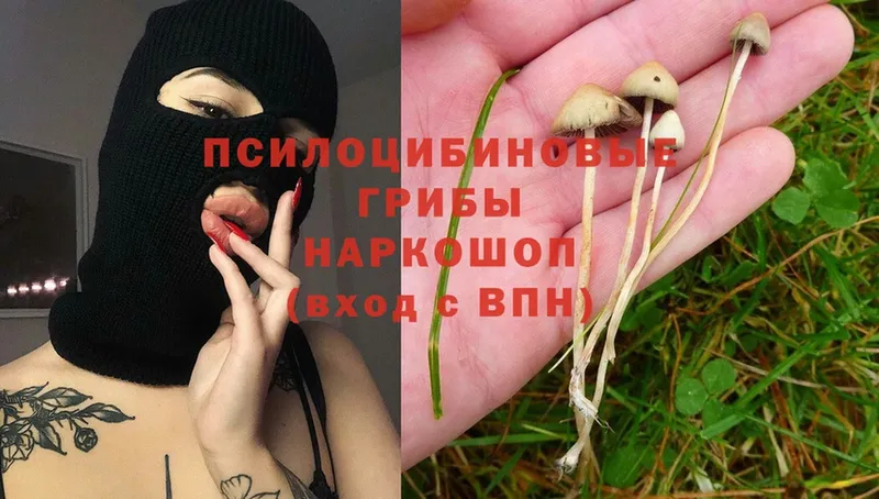 Галлюциногенные грибы Cubensis  купить наркотик  Глазов 