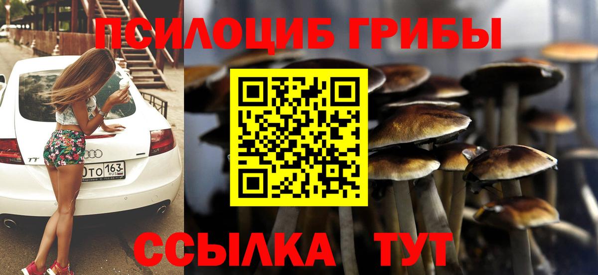 Псилоцибиновые грибы Cubensis Глазов