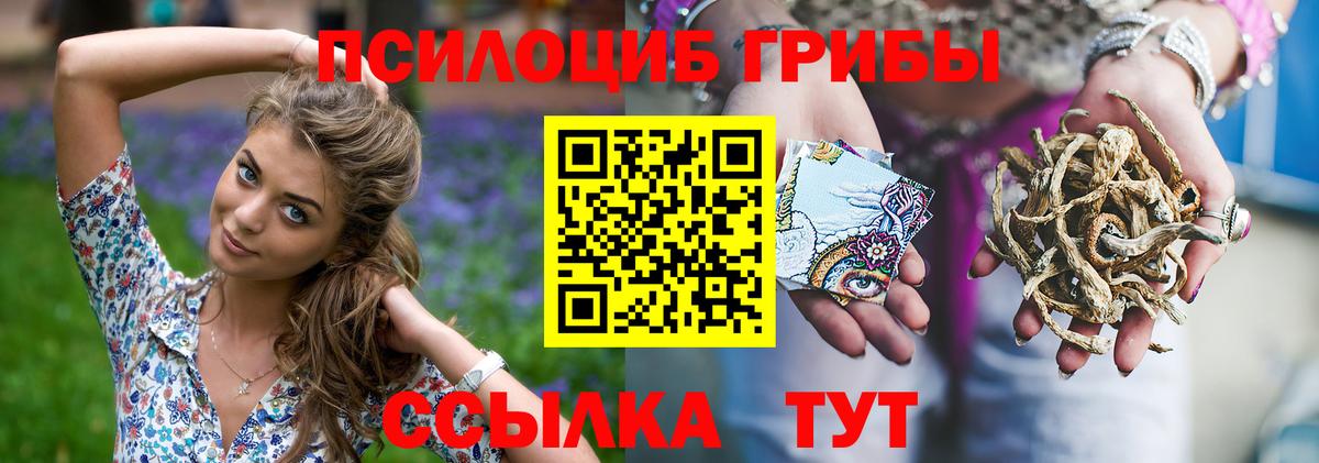 Галлюциногенные грибы мицелий  Глазов 