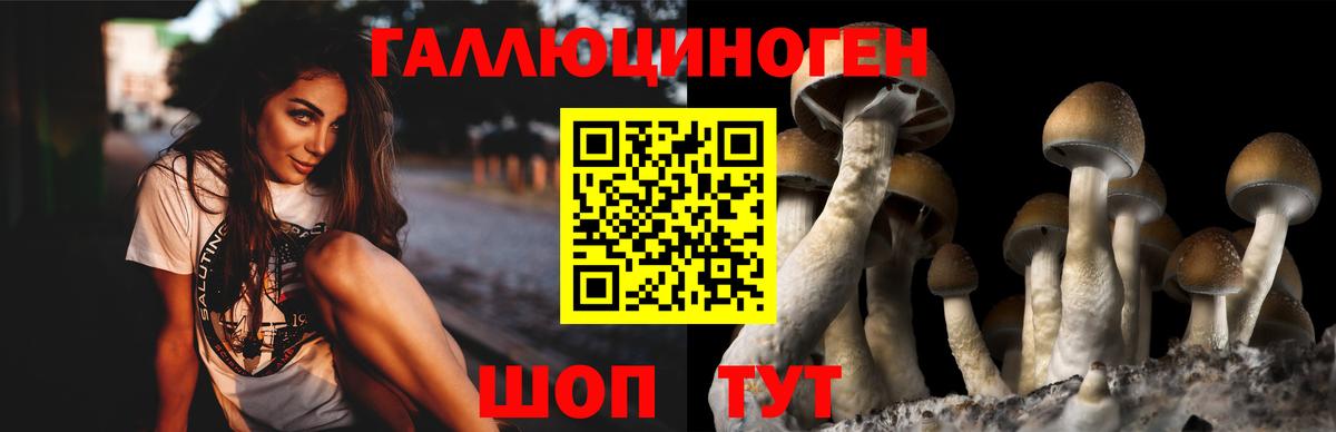 Псилоцибиновые грибы ЛСД  Вход с VPN  Глазов 